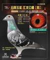 图片暂时未上传