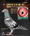 图片暂时未上传