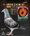 图片暂时未上传