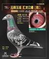 图片暂时未上传