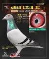 图片暂时未上传