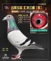 图片暂时未上传