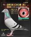 图片暂时未上传