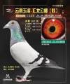 图片暂时未上传