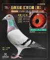 图片暂时未上传