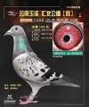 图片暂时未上传