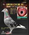图片暂时未上传