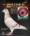 图片暂时未上传