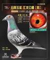 图片暂时未上传