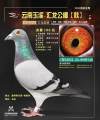 图片暂时未上传