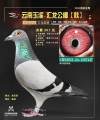 图片暂时未上传