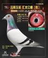 图片暂时未上传
