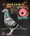 图片暂时未上传