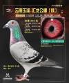 图片暂时未上传