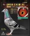 图片暂时未上传