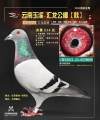 图片暂时未上传