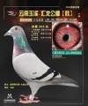 图片暂时未上传