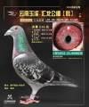图片暂时未上传