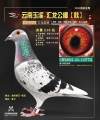 图片暂时未上传