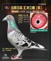 图片暂时未上传