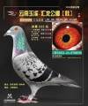 图片暂时未上传