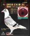 图片暂时未上传
