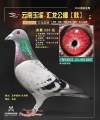 图片暂时未上传
