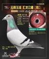 图片暂时未上传
