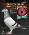 图片暂时未上传