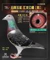 图片暂时未上传