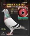 图片暂时未上传