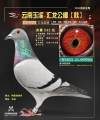 图片暂时未上传
