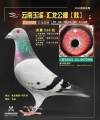 图片暂时未上传