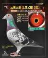 图片暂时未上传