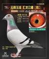 图片暂时未上传