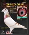 图片暂时未上传