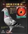 图片暂时未上传