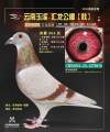 图片暂时未上传