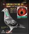 图片暂时未上传