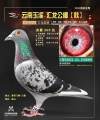 图片暂时未上传