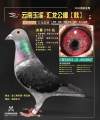图片暂时未上传