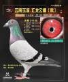 图片暂时未上传
