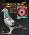 图片暂时未上传