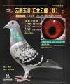 图片暂时未上传