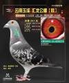 图片暂时未上传