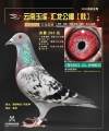 图片暂时未上传