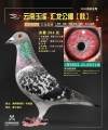 图片暂时未上传