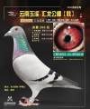 图片暂时未上传