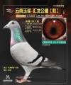 图片暂时未上传