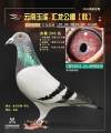 图片暂时未上传